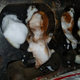 Image for article titled How a Hail Mary Engine Fix Kept My $500 Postal Jeep's Off-Road Dreams Alive